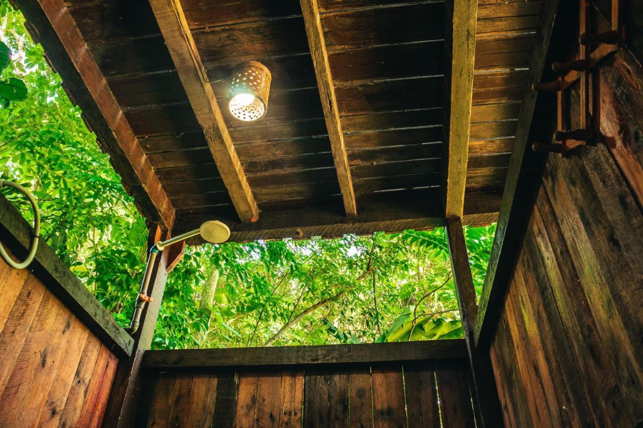 Fazenda Alegria & Aventura Campsite